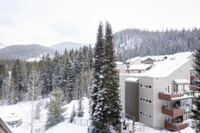 Iron Horse C5013 condo